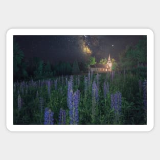 Sugar Hill Lupines Sticker